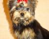<b>Название: </b>, <b>Добавил:<b> Perfect<br>Размеры: 337x450, 33.0 Кб